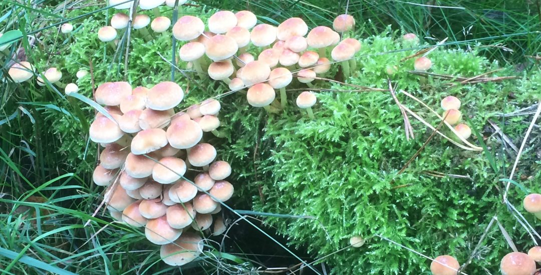 03ABC4BE-1F54-42A1-A1DC-81FC91F98FAE